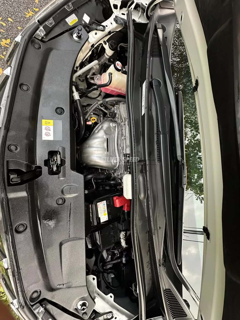 Toyota Alphard image 19
